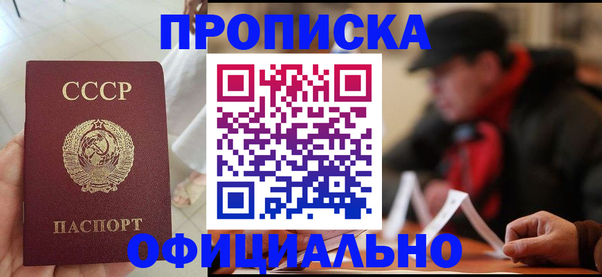 временная регистрация для школы в Новом Осколе